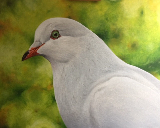 Dove (1) Dove (1)
